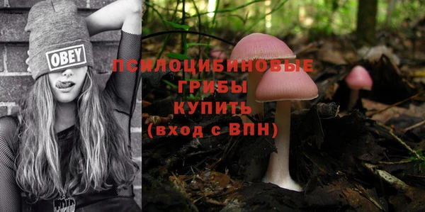 молекула духа Алзамай