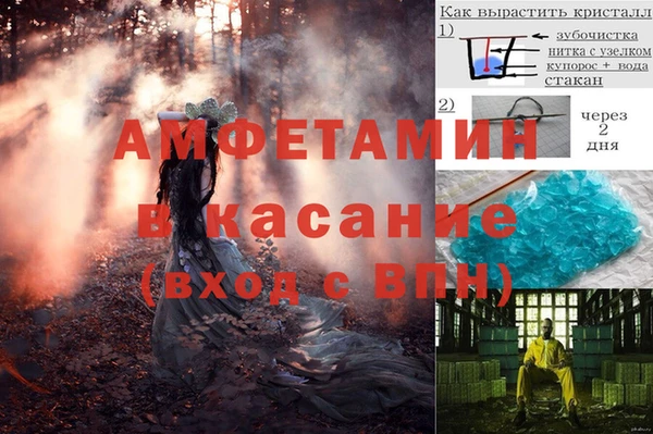 молекула духа Алзамай