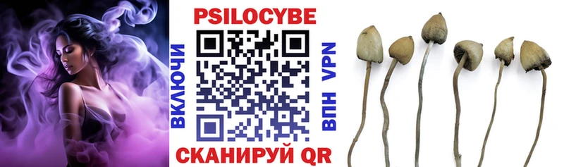 где найти   Новошахтинск  Галлюциногенные грибы Psilocybine cubensis 