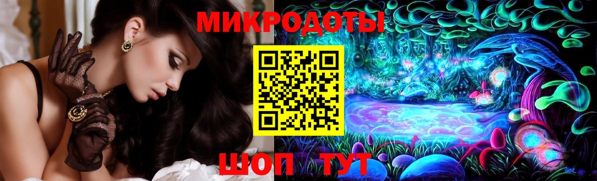 Галлюциногенные грибы Psilocybe Новошахтинск