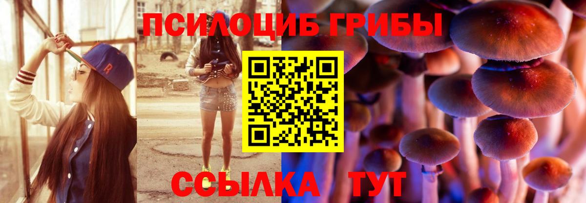 Новошахтинск  Галлюциногенные грибы Magic Shrooms  купить   Вход с VPN 